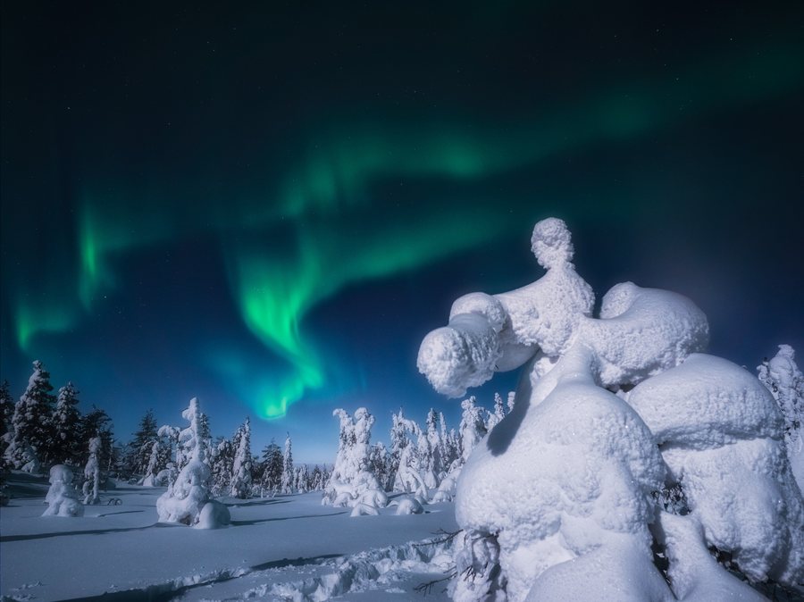 Aurora borealis over the Lapland treeline